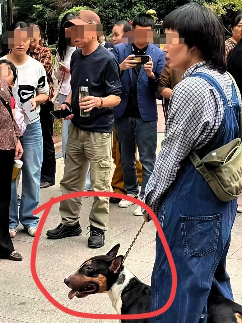 四川眉山被咬的小女孩，
一辈子都完了，
这三方面伤害会永远跟着她：
第一、伤疤，