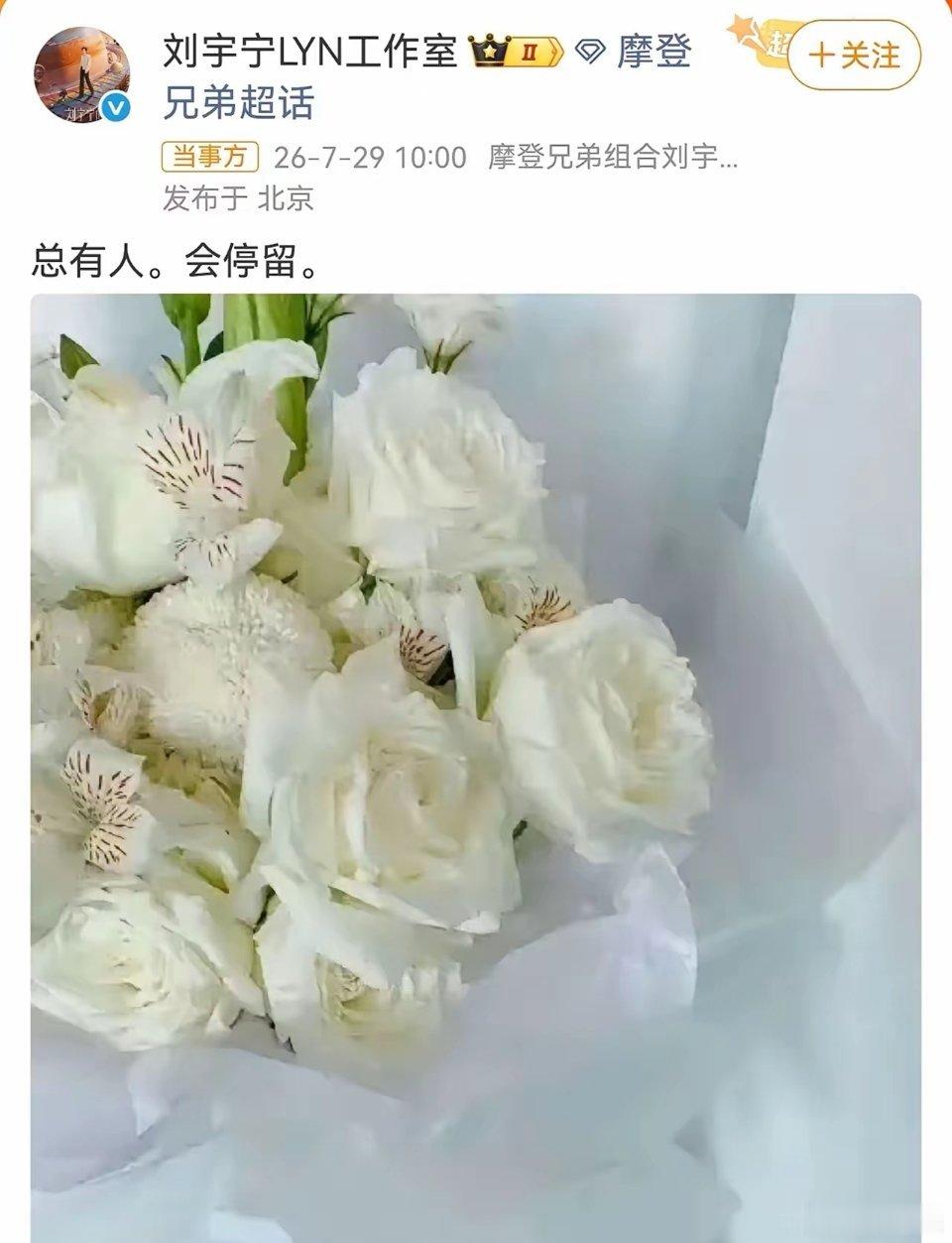 刘宇宁八年白玫瑰赴跨越生死之约刘宇宁7月29日工作室准时更新白玫瑰，配文总有人。