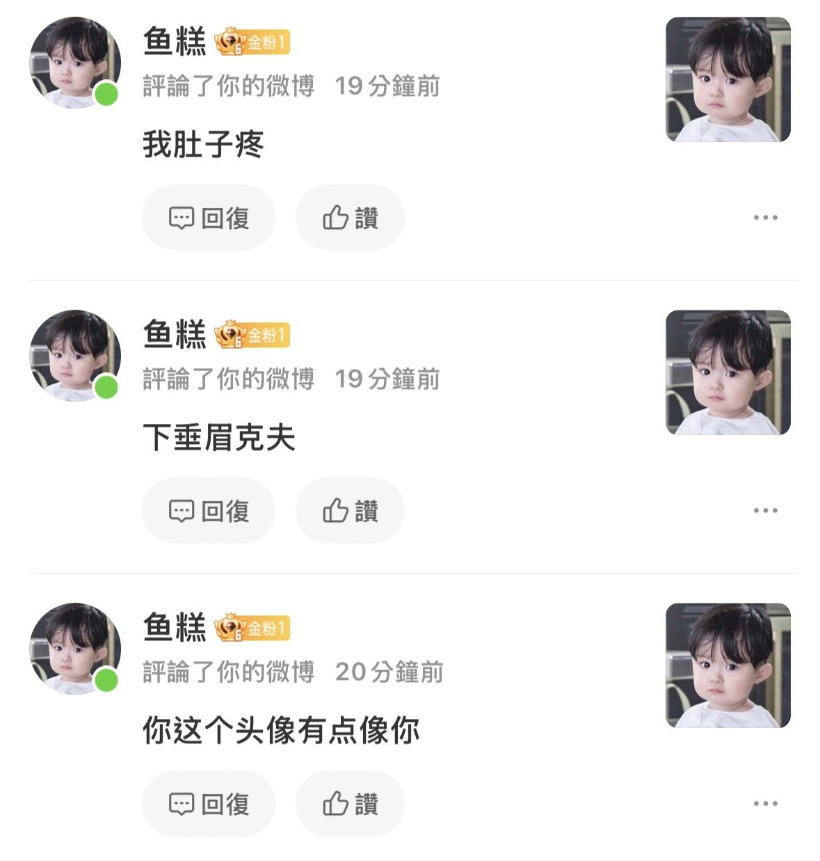 这个呆子