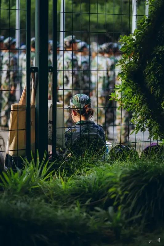 稍微不介入现实真正的军训，却能走进校园，这对年轻人的参军梦有着很好的铺垫作用。就