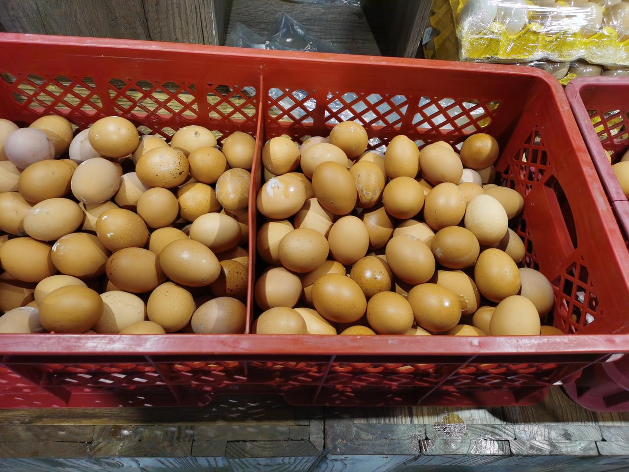 看看郑州的鸡蛋又涨价了9月10号
今天上午去刘先生超市里买鸡蛋，
一看价格比前几