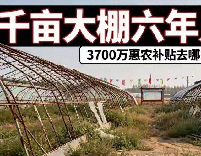 央视曝光乾安千亩大棚，荒了整整六年，3700万惠农补贴就这样浪费