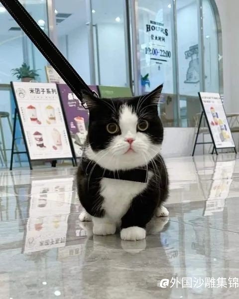 啊，原来世界这么大啊~[嘻嘻]