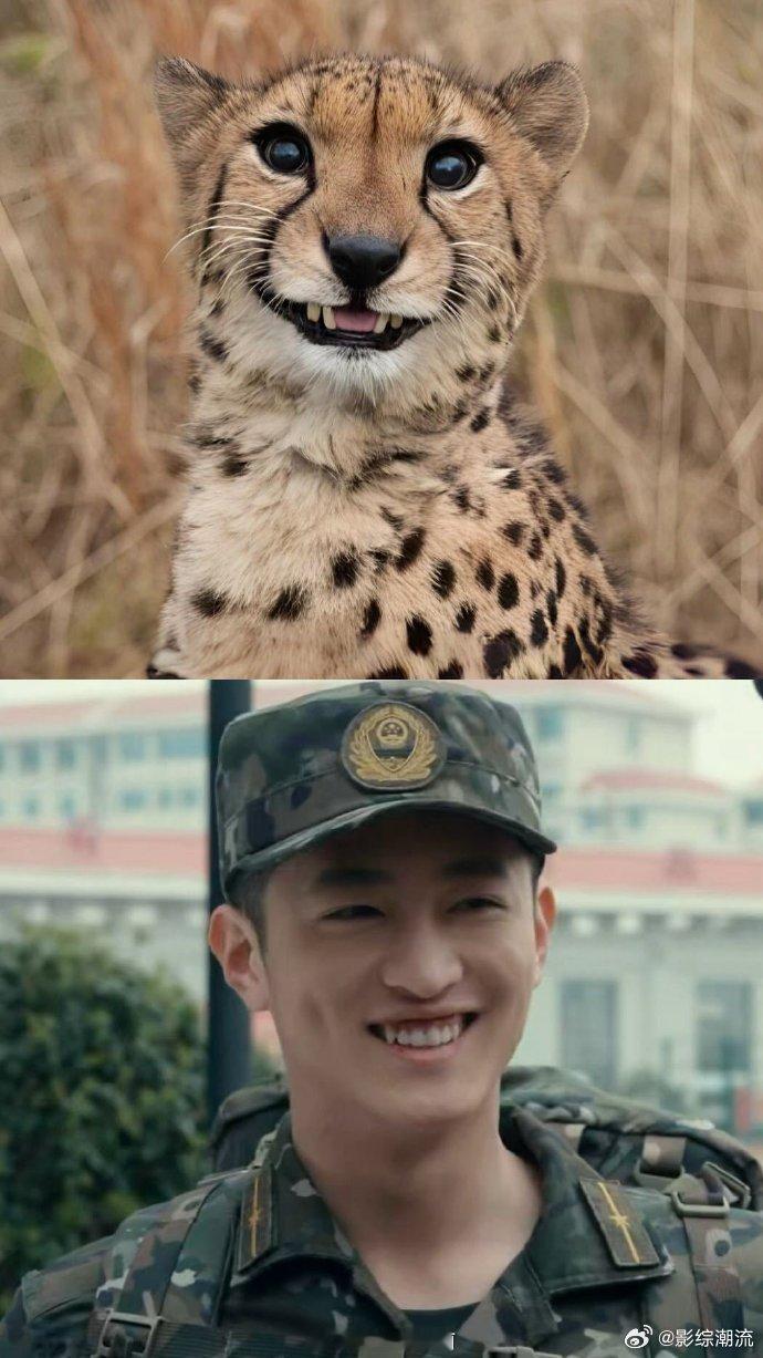 史彭元也是抽象到喜人赛道了 史彭元到底有什么找头像的秘诀啊，给《猎豹》猎豹F4选