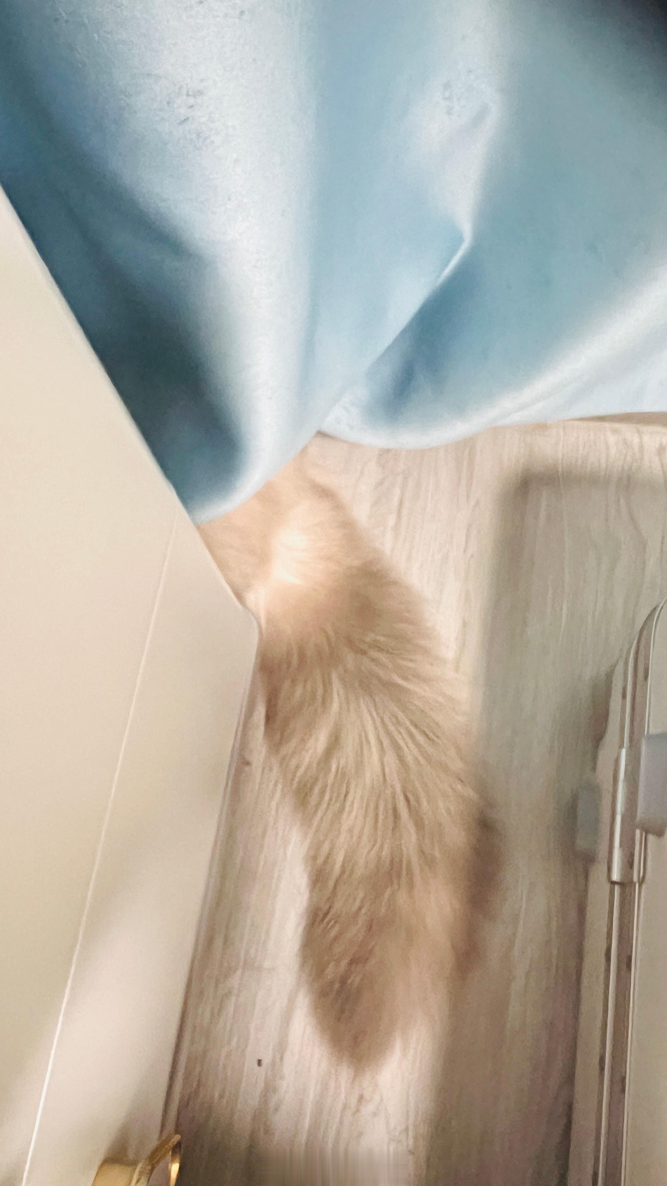 爱躲猫猫的太可爱了哈哈 ​​​