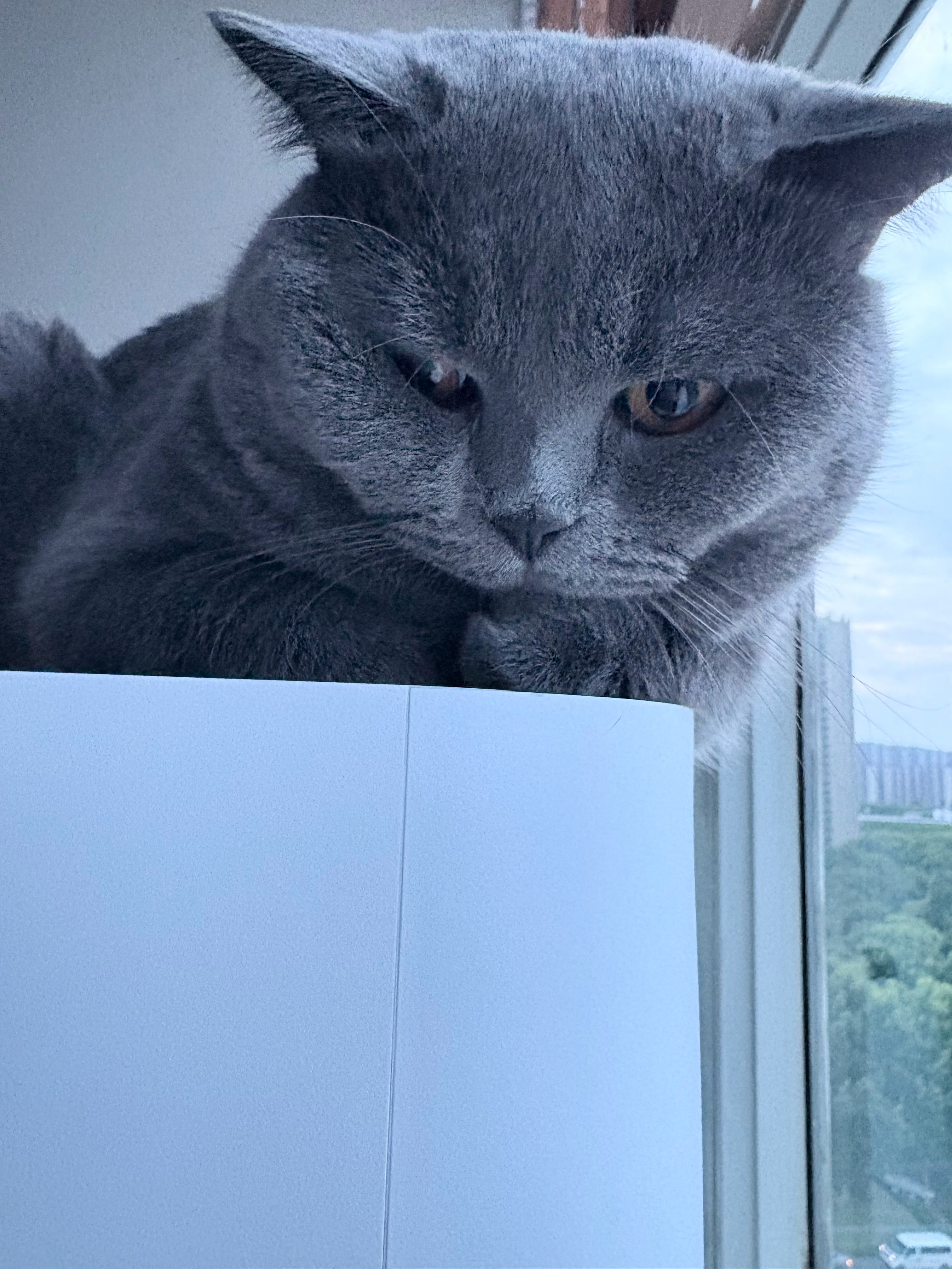 睡觉💤今日进度2000字，一天2000字我的舒适区 