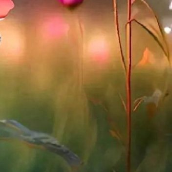 正能量以静养心，可以在喧嚣嘈杂中，为心灵辟一方净土，让其得以栖息、滋养、沉淀，重