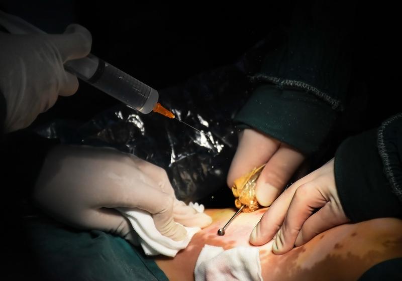 英国学者与我国刘亚宁教授历经三十多年研究，提出人体本身是微波发射塔、人体细胞是电