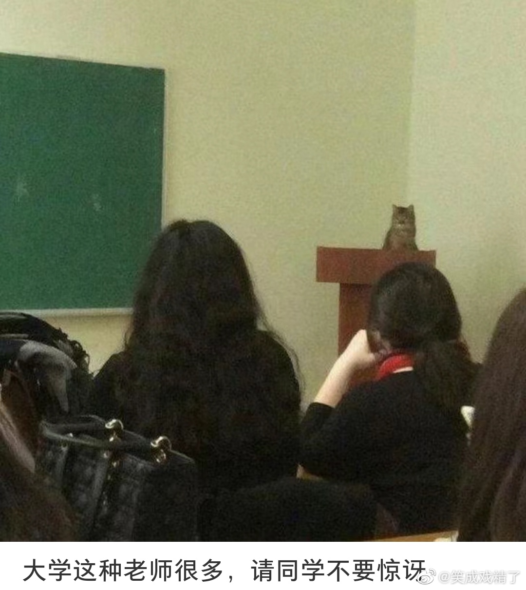 猫猫：“大学这种老师很多，请大家不要惊讶” ​​​