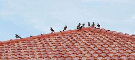 荆州别被中考分流吓住，抓牢这些知识点，普高稳了
孝感普高率71%，十堰普高率也不