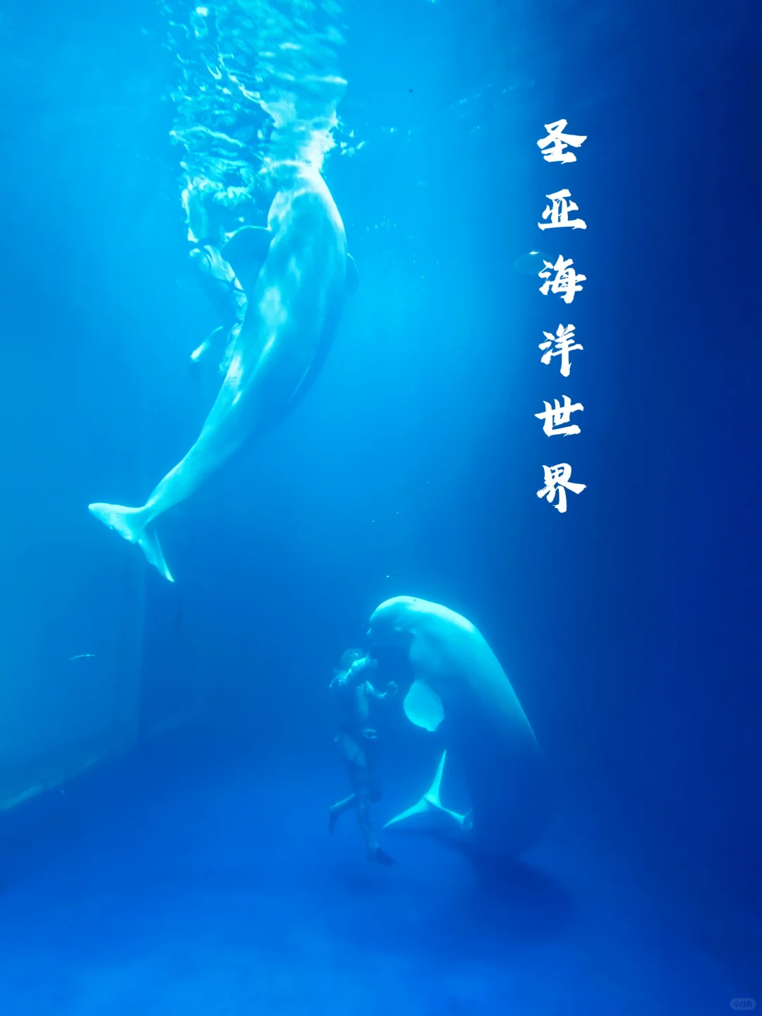 大连旅游|主打一个听劝就能玩好