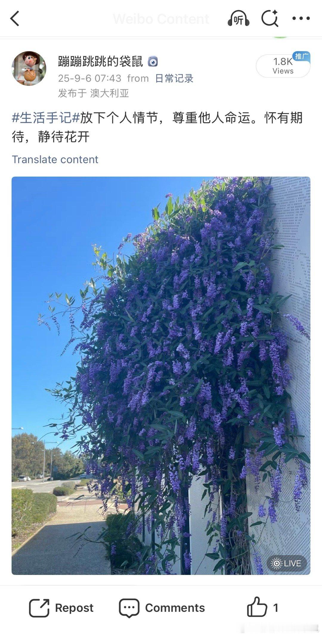 🍊 我自觉不是戴粉丝滤镜夸夸夸的人，昨天看完陈添祥的直播，再次感概他1.  三