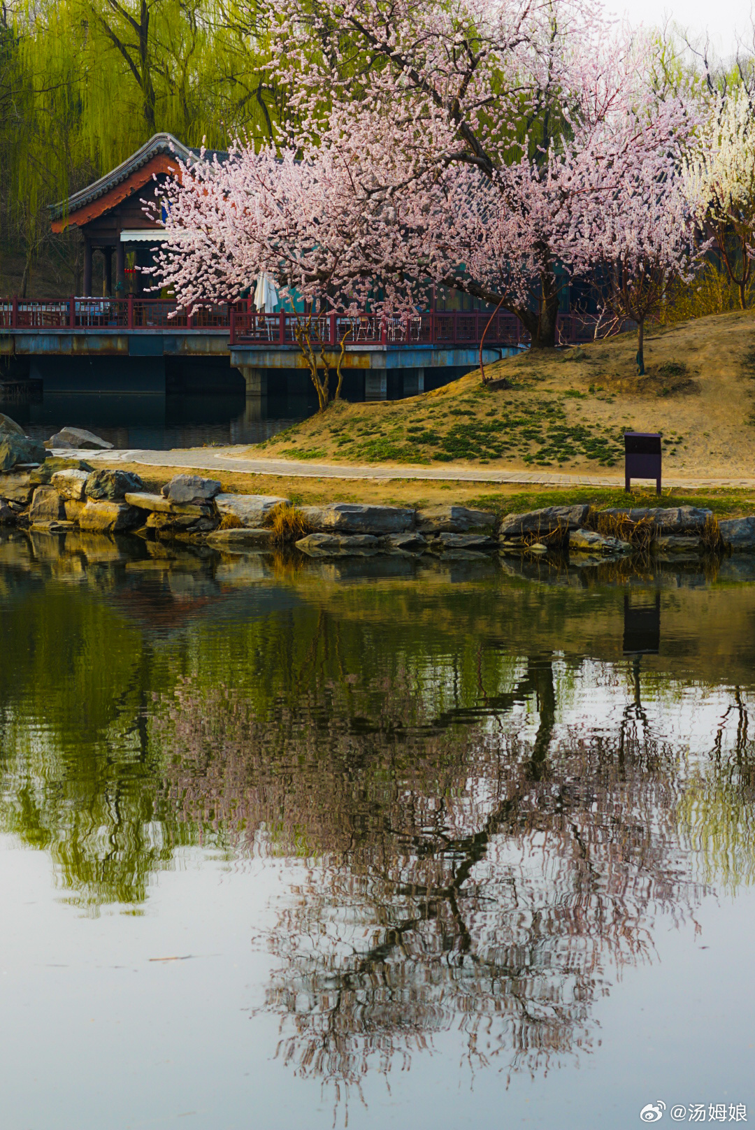 一湖春色半湖烟，桃红柳绿醉流年。岸畔桃枝缀粉，堤边柳丝抽青。倚湖听风，看桃花灼灼