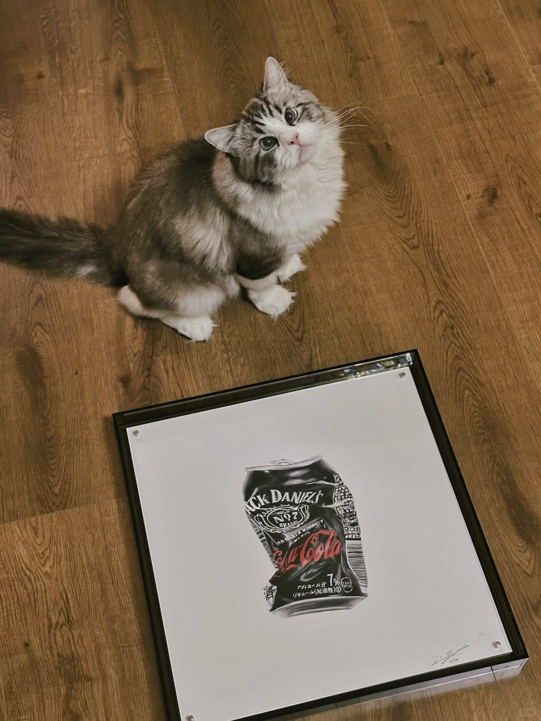 养了一只会看画的小猫🐱
