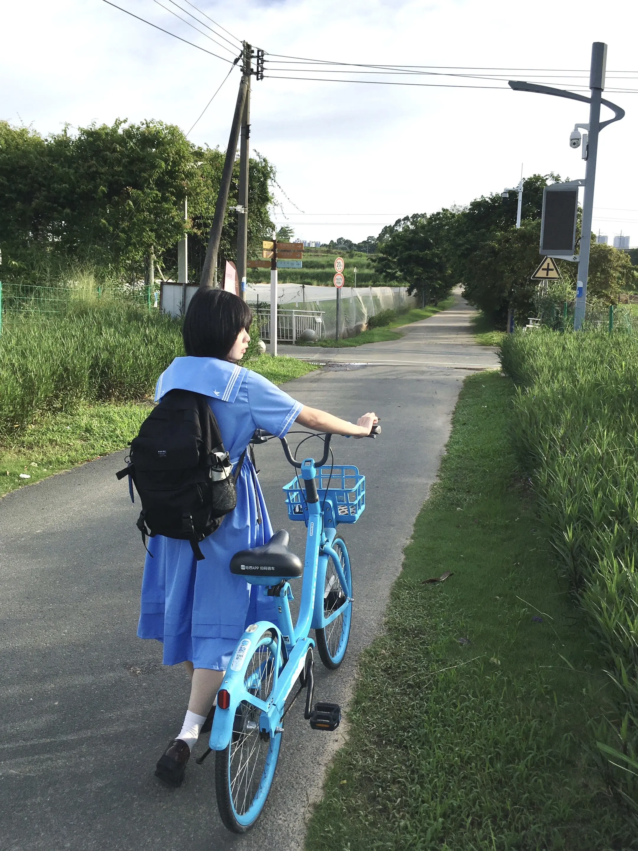 人就像一棵树 在流眼泪的同时 也在浇灌自己 等眼泪流完了 你也就长大了