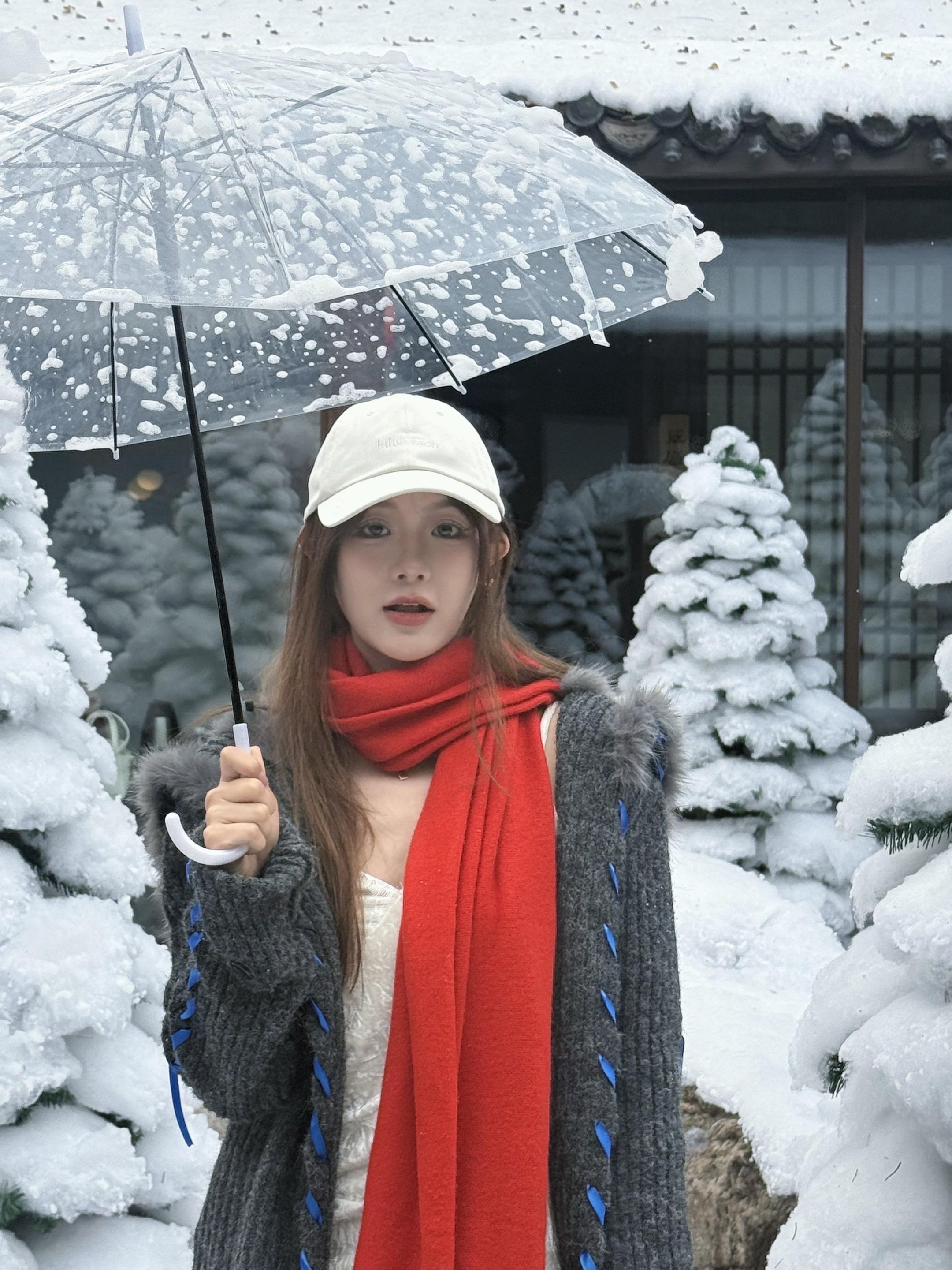 我住的城市从不下雪