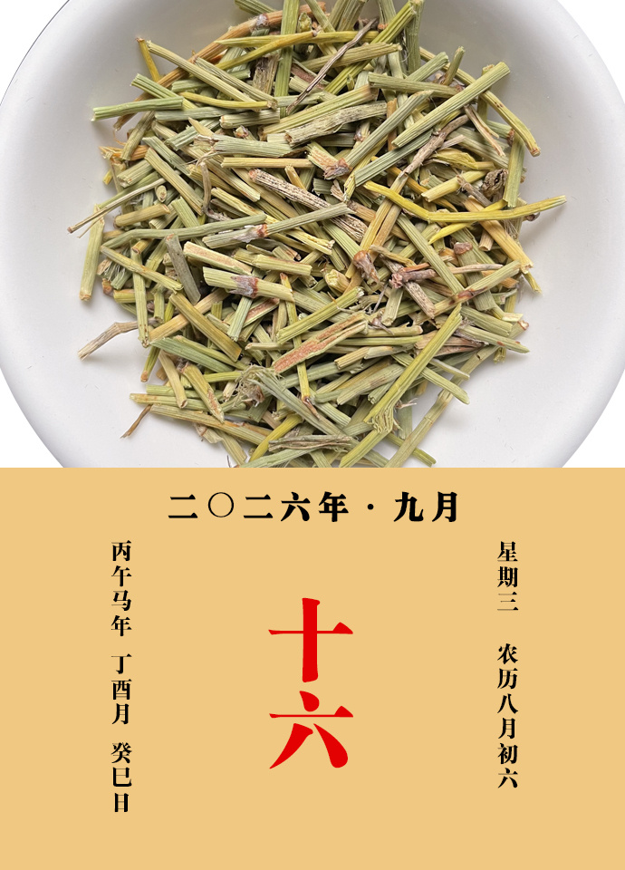 每天一味中草药 甄权说：麻黄能治身上毒风疹痹，皮肉不仁；主壮热，解肌发汗；治温疟