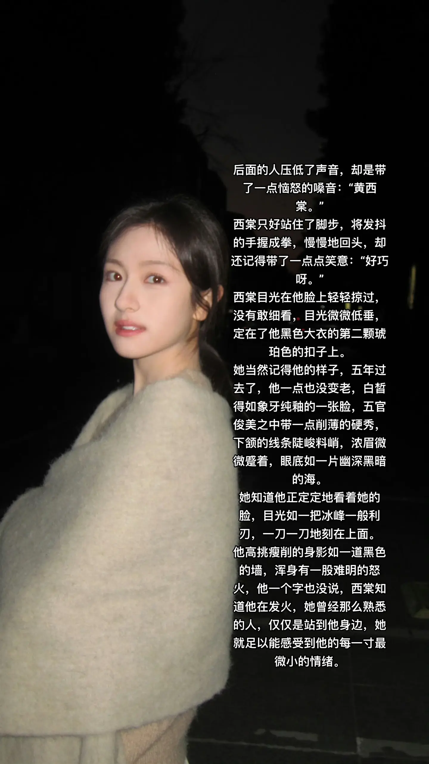 京洛再无佳人 赵平津 黄西棠 小说 文荒推荐