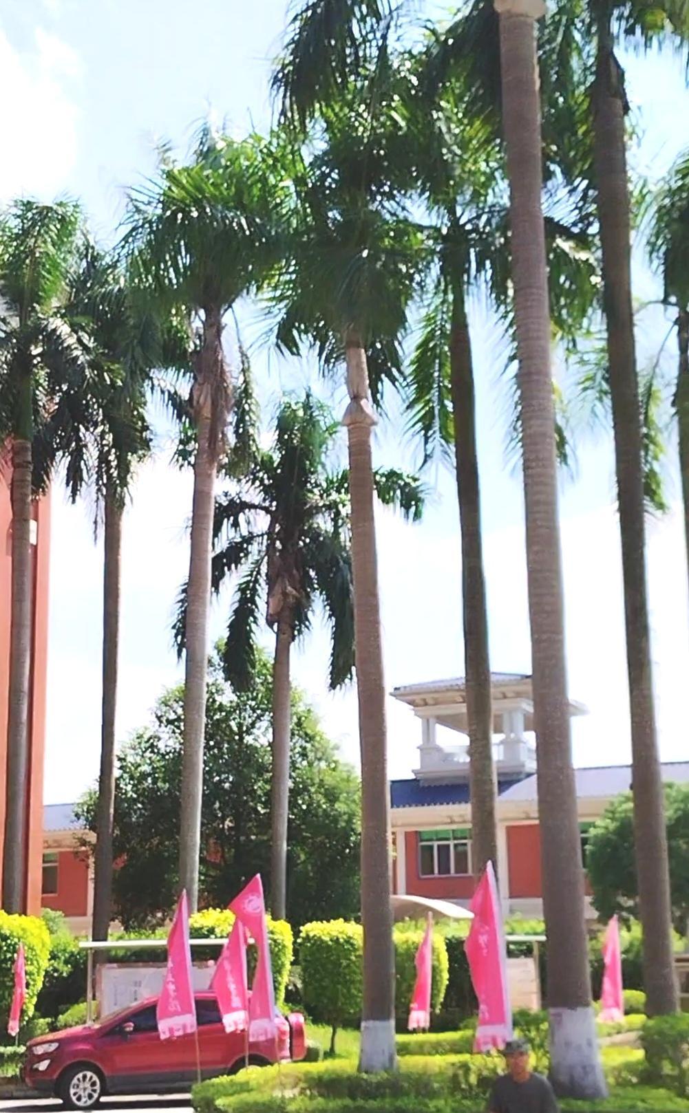 一人一句新年祝福 2026年，愿大家都能家和万事兴，身安百业旺。就像那句话说的，