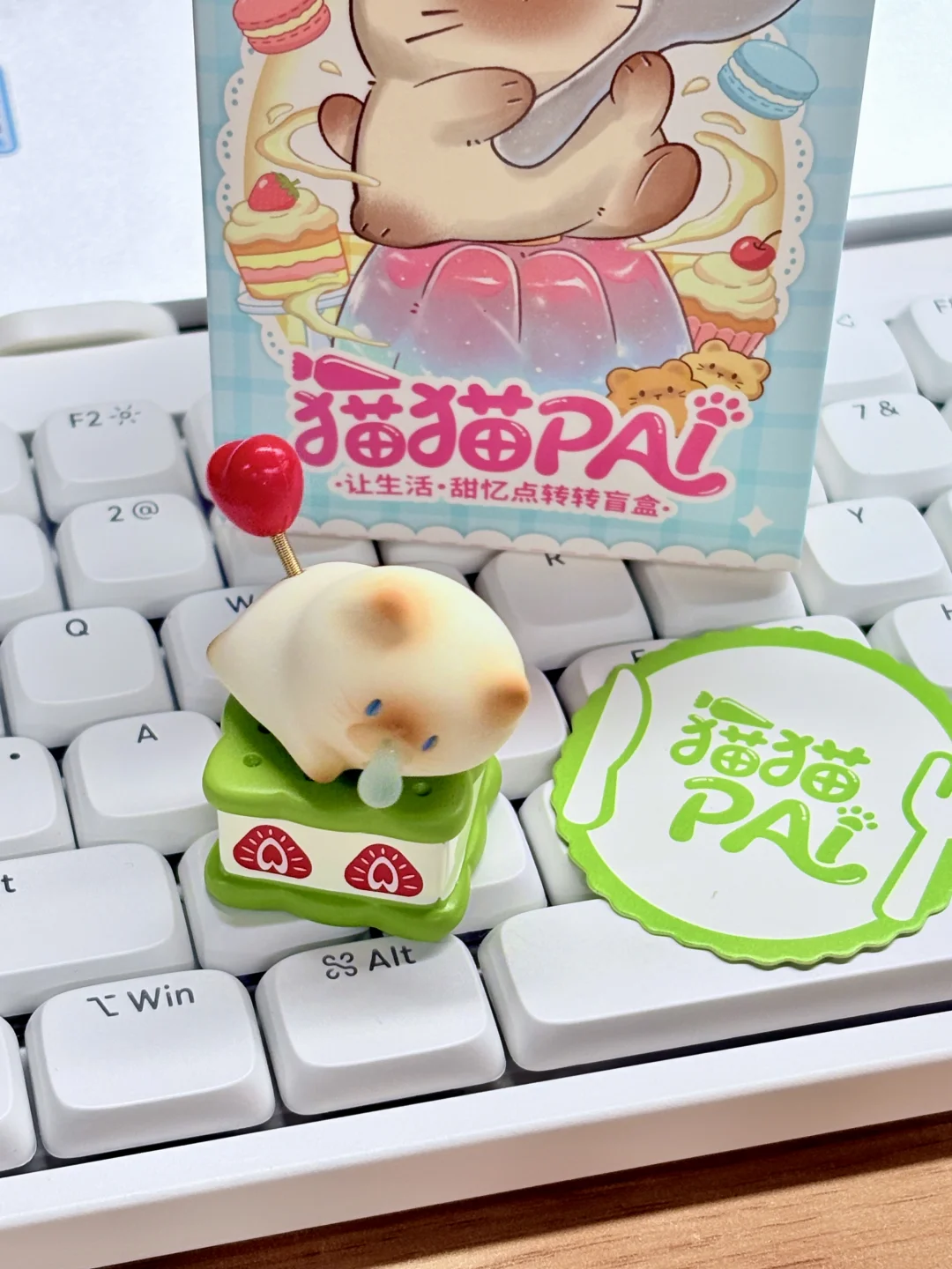 名创猫猫Pai又又又出新品啦❗️