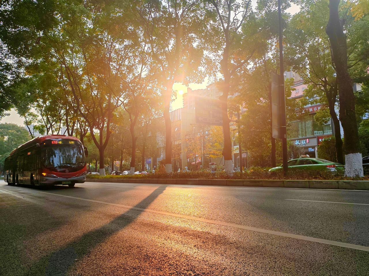 晨光初透，将城市染成淡金色。公交车缓缓驶过，引擎声低沉而平稳，车身上闪烁着朝阳的