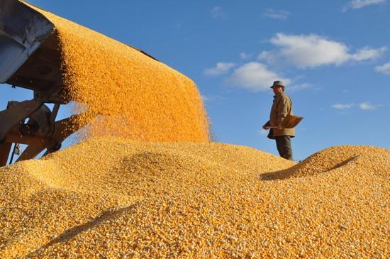 联合国粮食及农业组织（FAO）首席经济学家表示，随着伊朗和乌克兰战争持续，加上厄