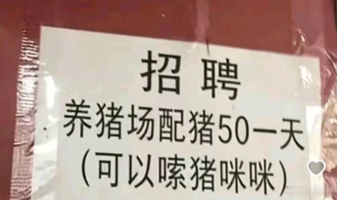 分享图片 
