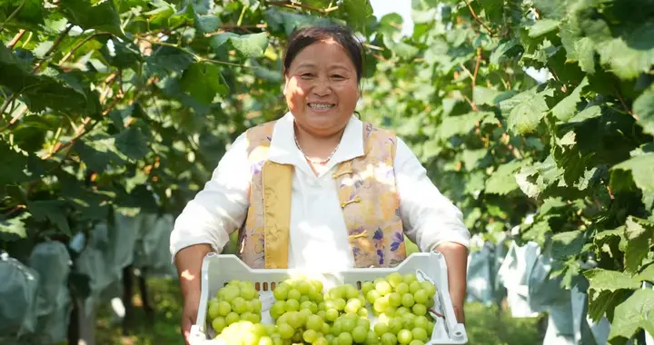 AI上山下乡，网商银行探了条新路