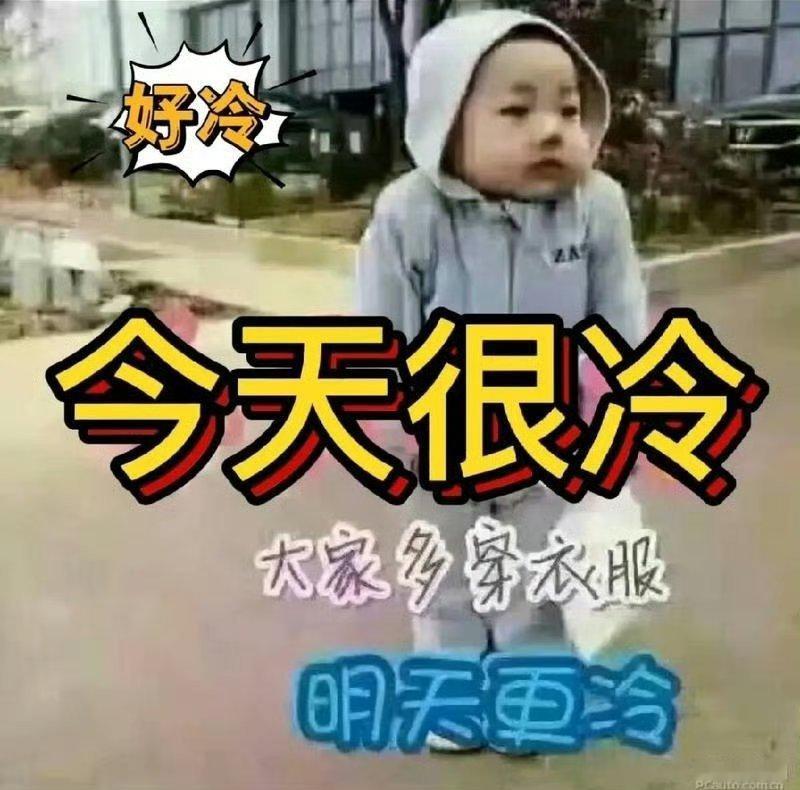 一场大风刮过，北京一夜入寒冬