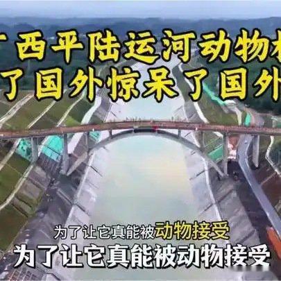 动物 说不出感谢滴话.但是 它们会很高兴的......《广西平陆运河动物桥，火到