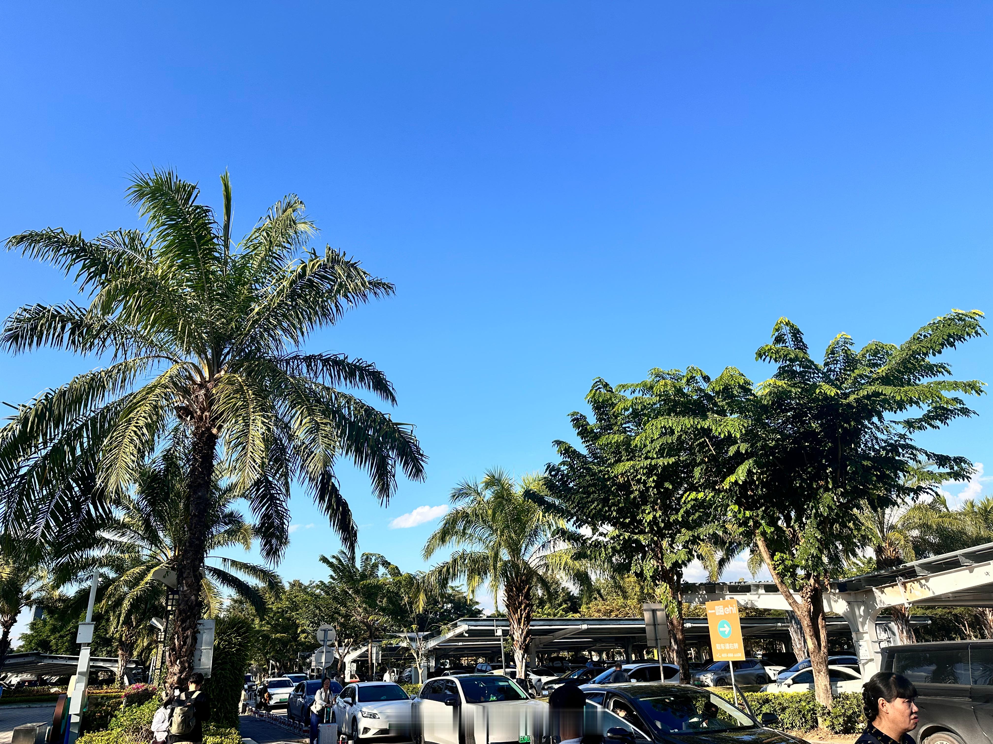 来都来了，不得出去转转吗。南方天气真暖和，白天短袖就行，果然云南四季如春我的日常