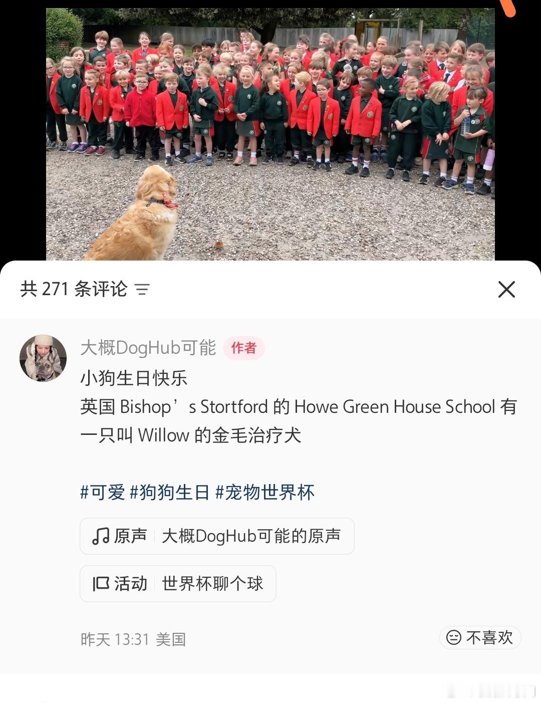 英国的小朋友再给狗狗过生日，而我们，在疯狂shanshanshan 
