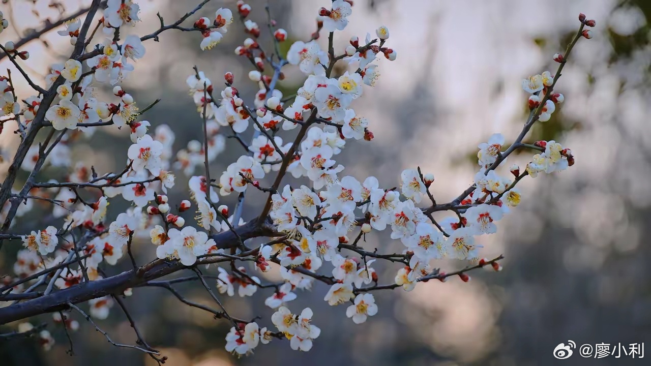留几手价值观留几手是干啥的，我不知道，但他说的那些话确实太没底线了！死者为大，即