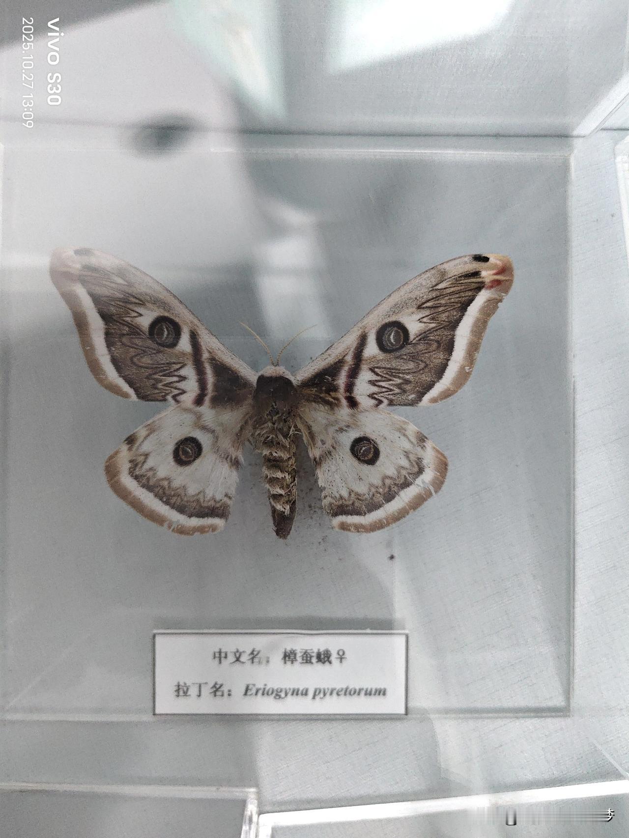 冬日生活打卡季