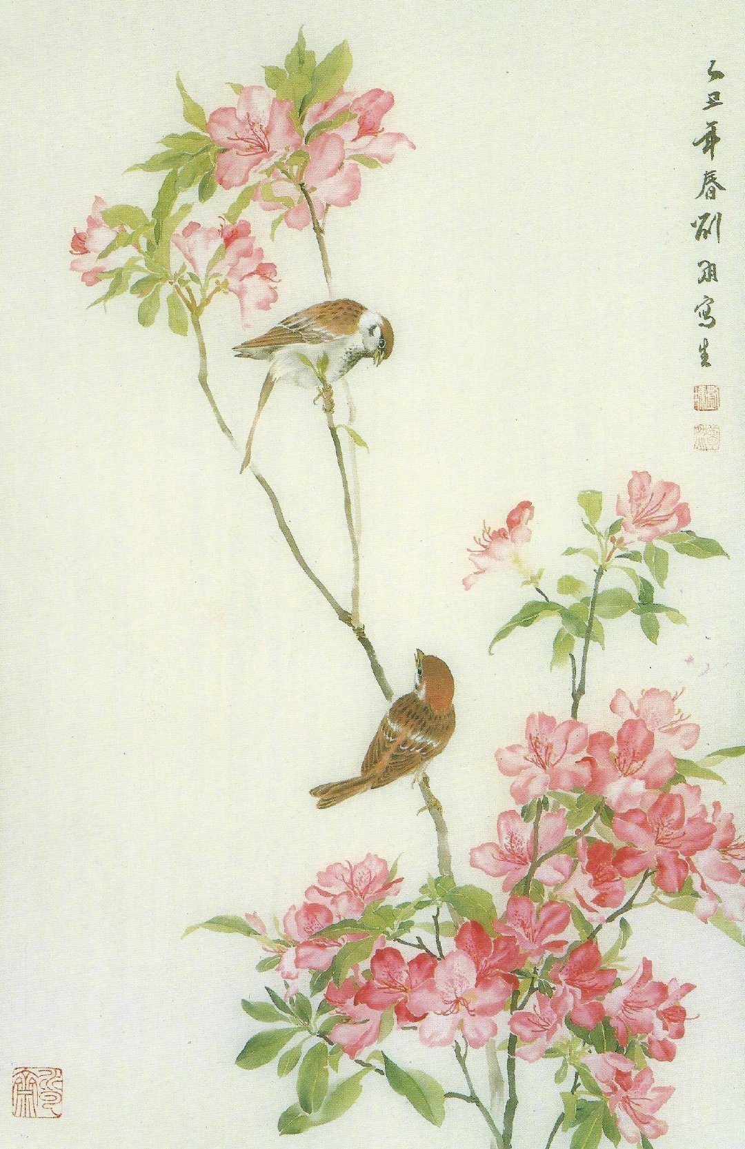 “柳如眉，云似发，鲛绡雾縠笼香雪。梦魂惊，钟漏歇，窗外晓莺残月。几多情，无处说，