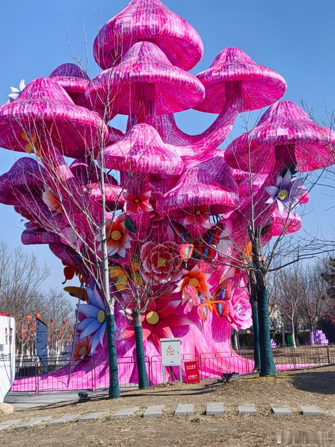 世园会花灯节最大的蘑菇灯。 手机随手一拍n。 