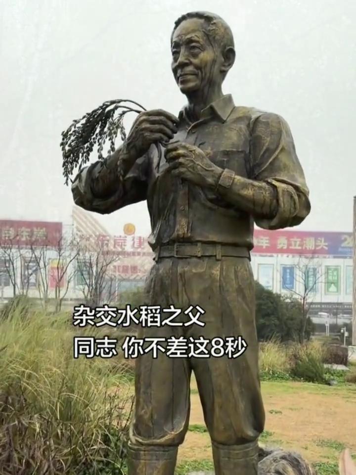 杂交水稻之父，同志你不差这8秒。
