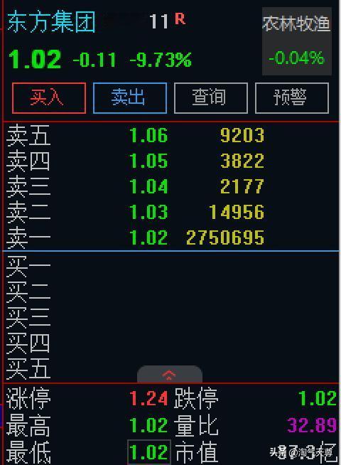 东方集团不出所料，跌停开盘，昨天市值41亿，成交12亿，肯定是机构自救！谁在买？