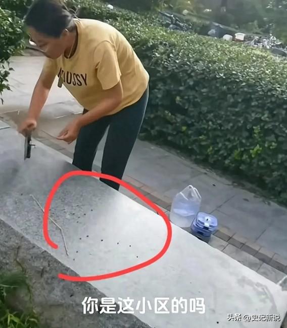[微风]细思极恐！河北廊坊，男子在小区看到一名鬼鬼祟祟的女子，走近一看吓了一大跳