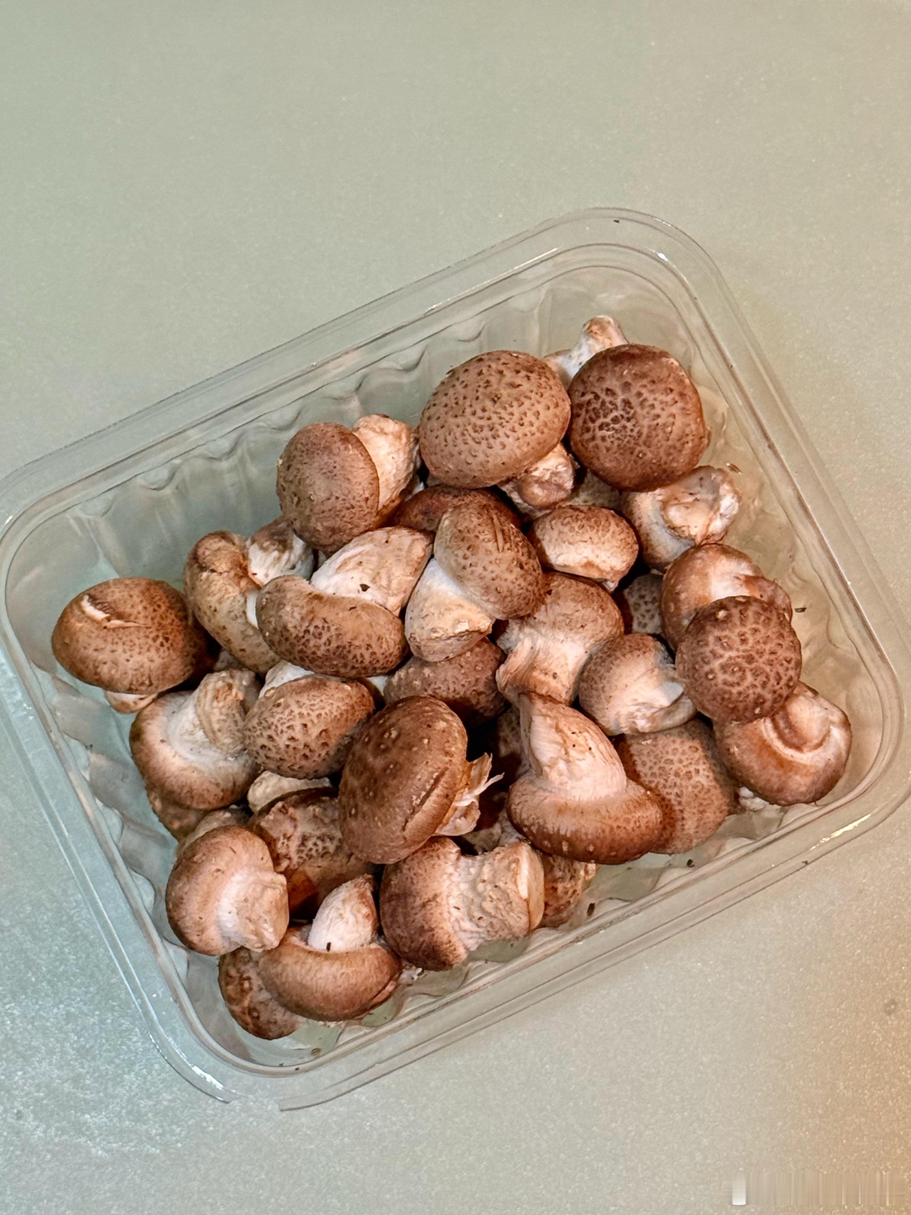 小小嫩香菇好嫩好Q🍄🟫饭爷的健康食话