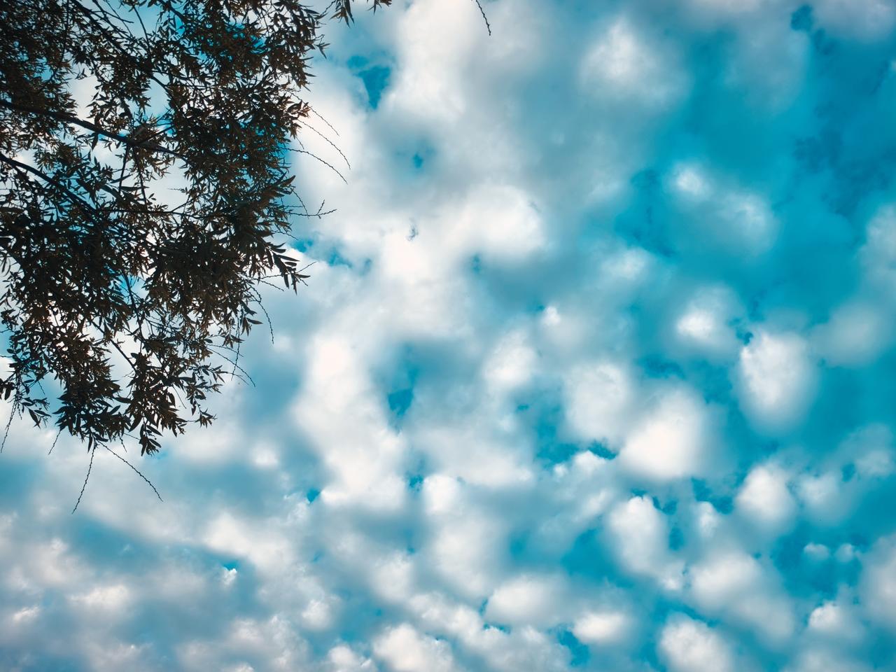 天边的云彩铺开一幅温柔的画卷，就像生活里那些不经意的美好。别急着赶路，抬头看看云