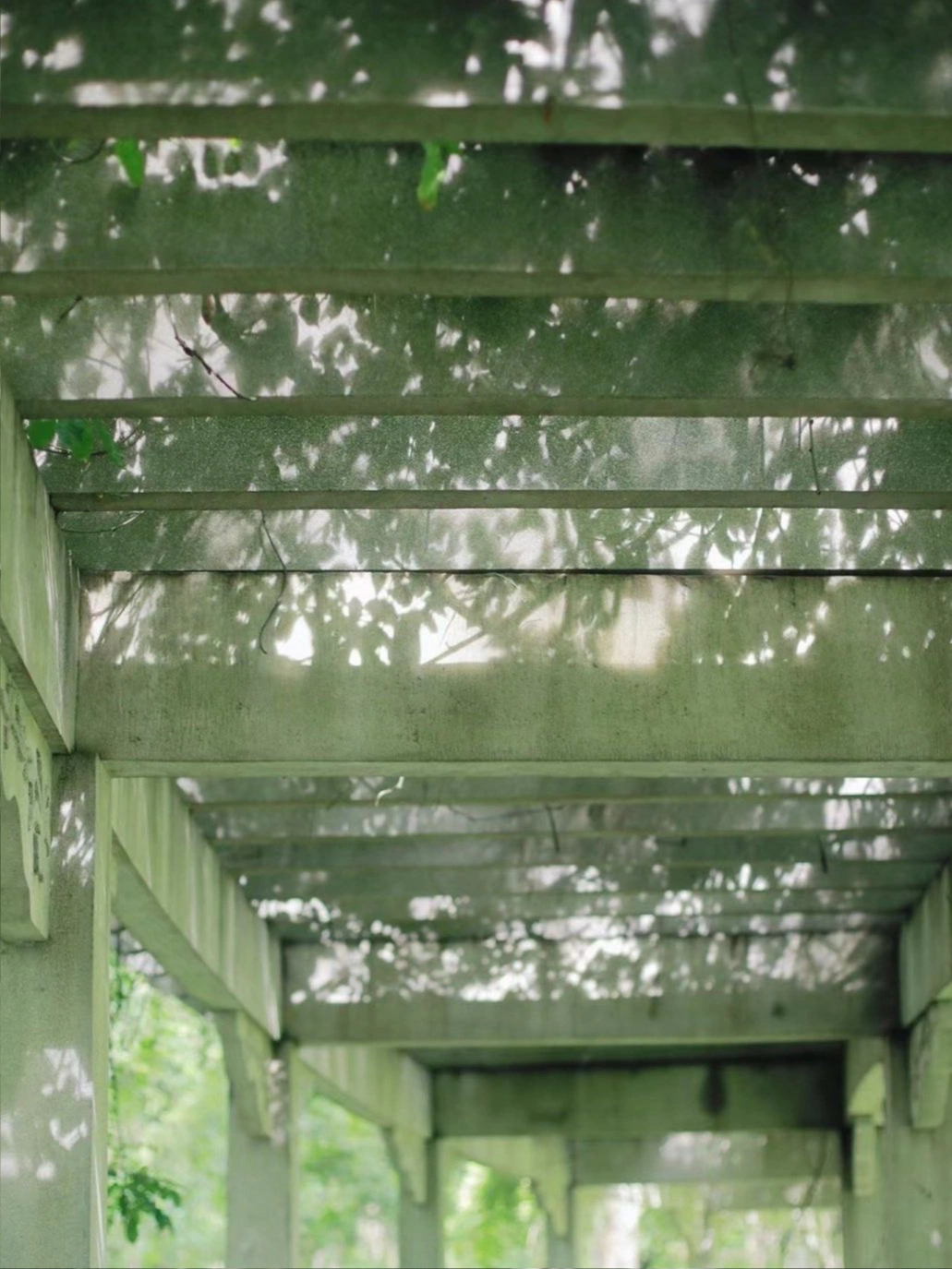 𓈒꙳⋆🍀♡ ◟✦🍏⤾꙳ 𓈒✦ 