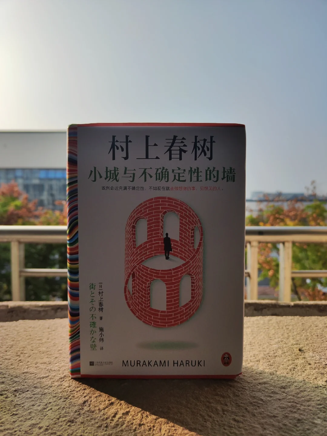 第596本：这本书的猜想、疑问以及金句❗