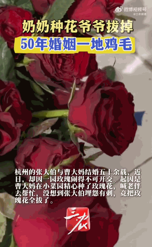 日子怎会和谁过都一样！杭州，一对携手走过五十余年风雨的老夫妻，张大伯和曹大妈，本