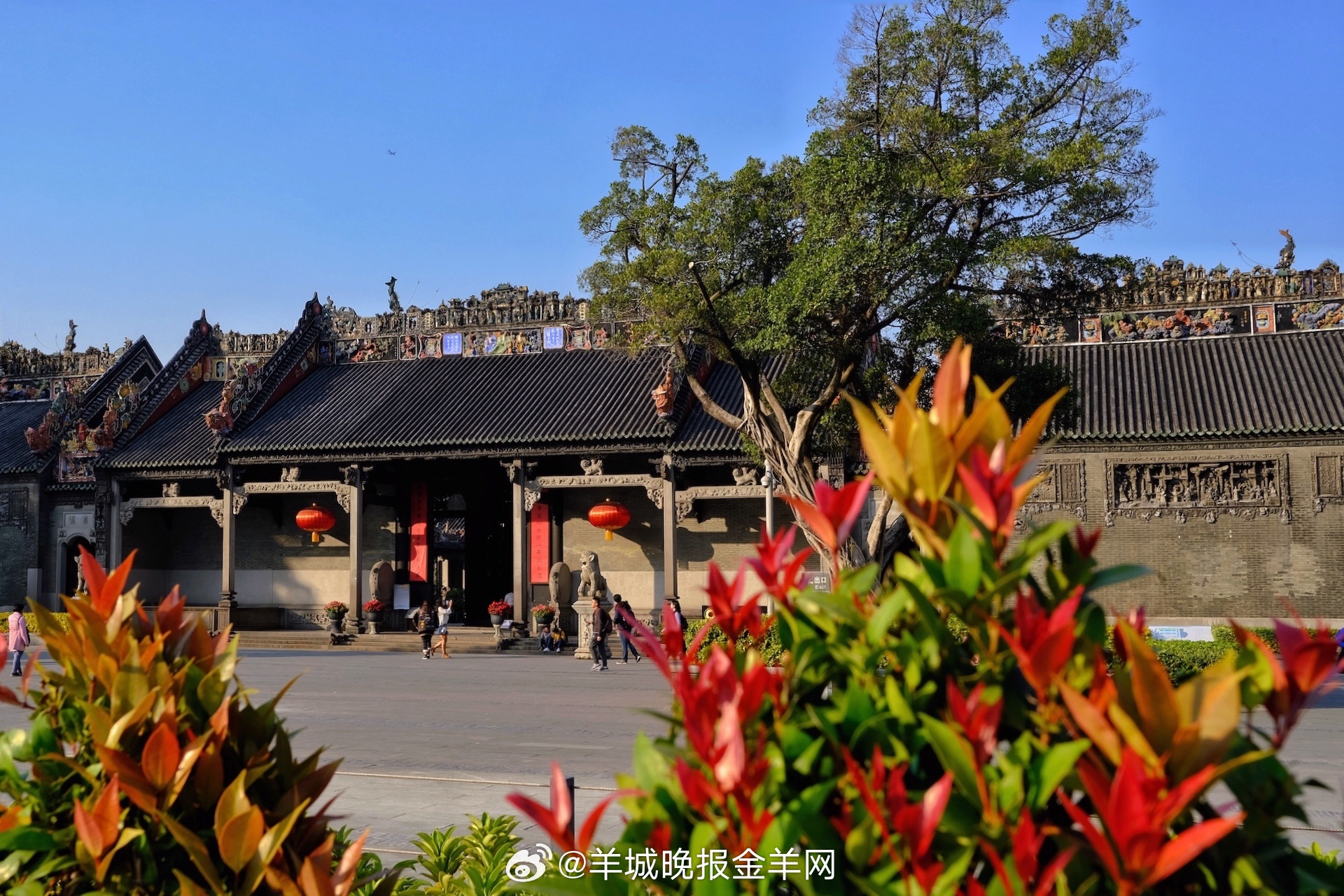 #早安#有些好习惯，也许短期看不到效果，但长期坚持定会有所收益。默默积累，总有一