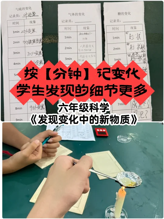 用动物行为研究方法，来记录反应变化🤣