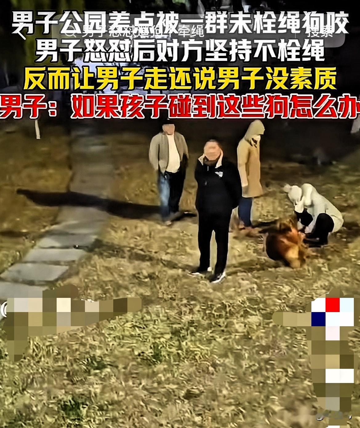 太没素质了！山东，男子在公园发现一群未拴绳的狗，差点就被咬，男子上前找狗主人理论