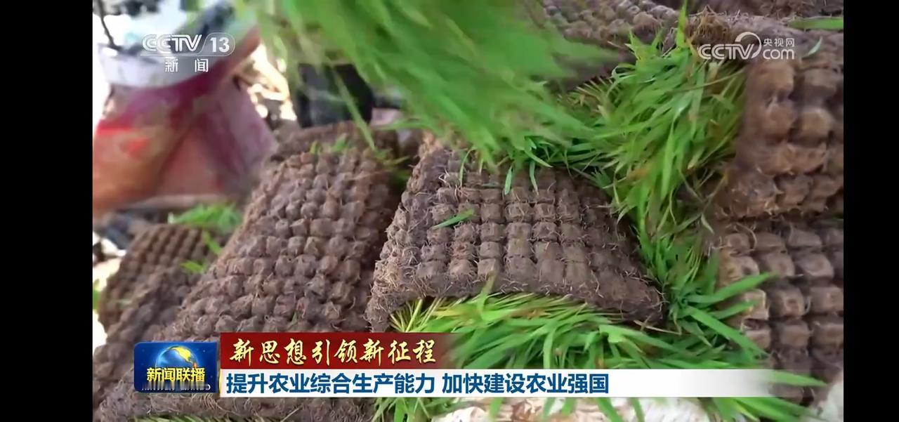 新思想引领新征程，农业综合生产能力提升！🌱🌾