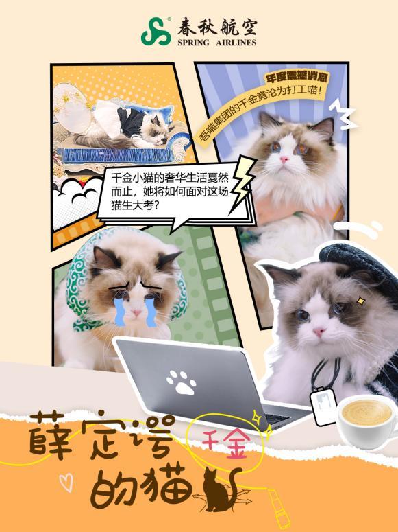 准点率90.3%藏剧中？《薛定谔的猫千金》：萌宠叙事里的春秋航空实力
国内首部将