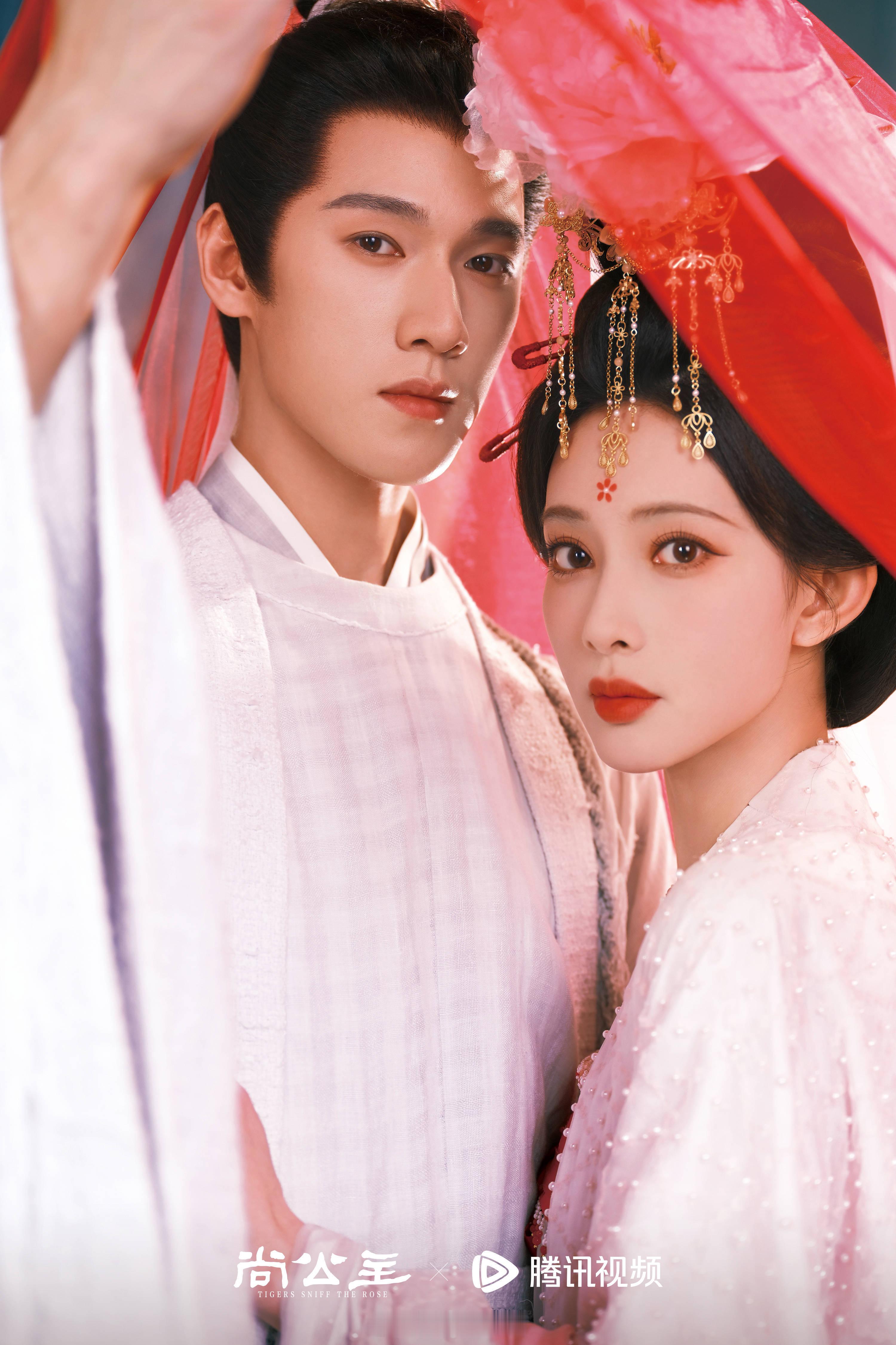孟子义、李昀锐领衔主演《尚公主》拟定11月备播！